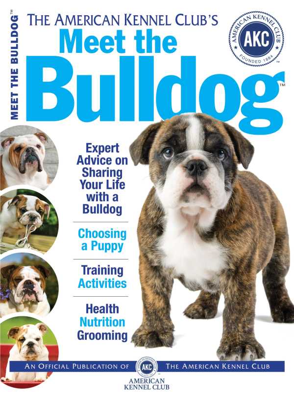 bw-meet-the-bulldog-companionhouse-books-9781937049966