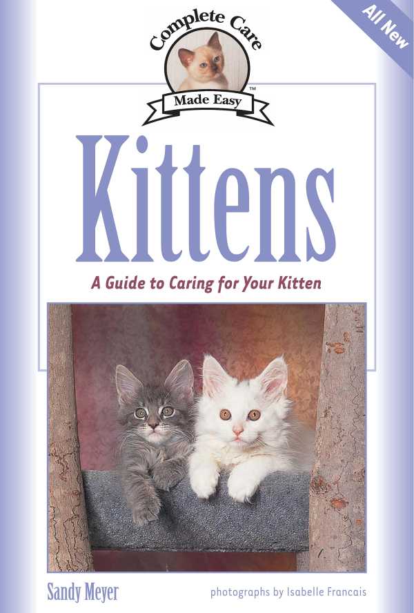 bw-kittens-companionhouse-books-9781937049058