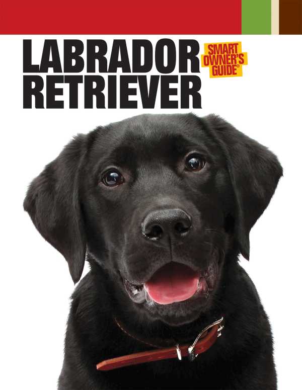 bw-labrador-retriever-companionhouse-books-9781593788216