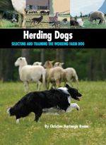 bw-herding-dogs-companionhouse-books-9781593786533