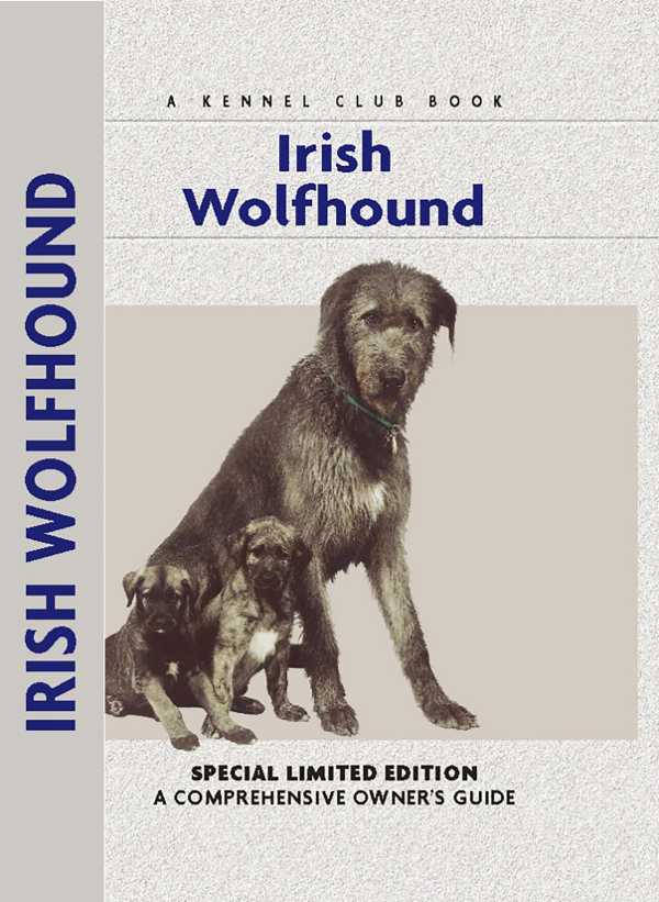 bw-irish-wolfhound-companionhouse-books-9781593789923