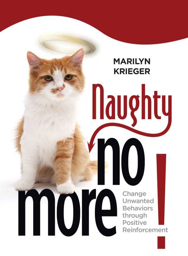 bw-naughty-no-more-companionhouse-books-9781935484844