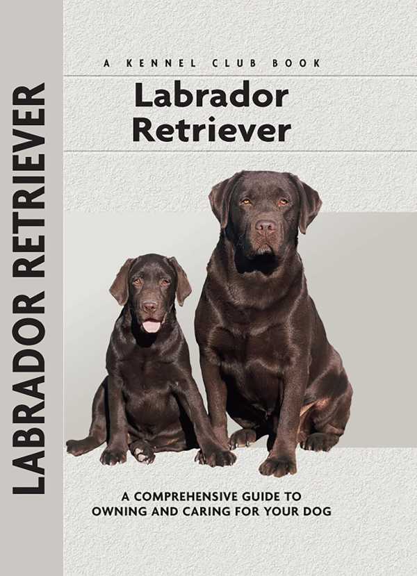 bw-labrador-retriever-companionhouse-books-9781593788568
