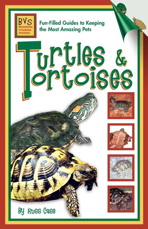 Turtles Tortoises