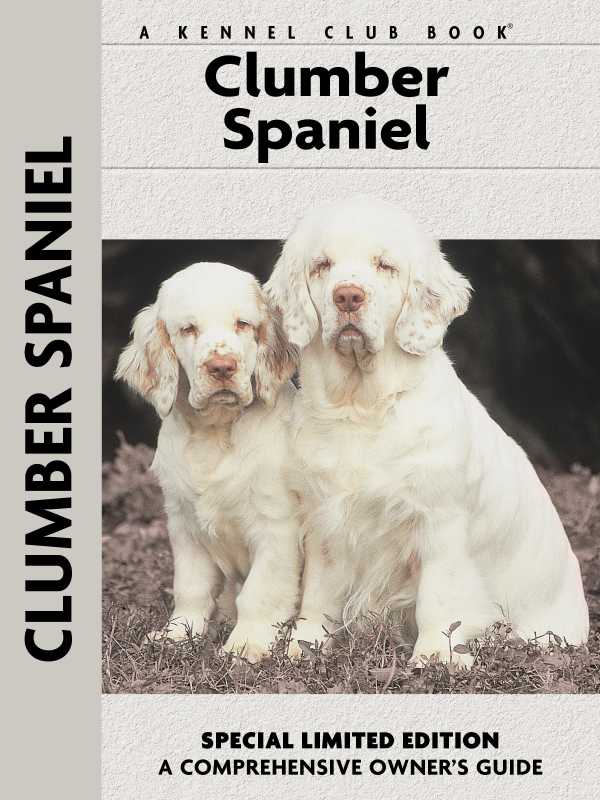 bw-clumber-spaniel-companionhouse-books-9781621870265