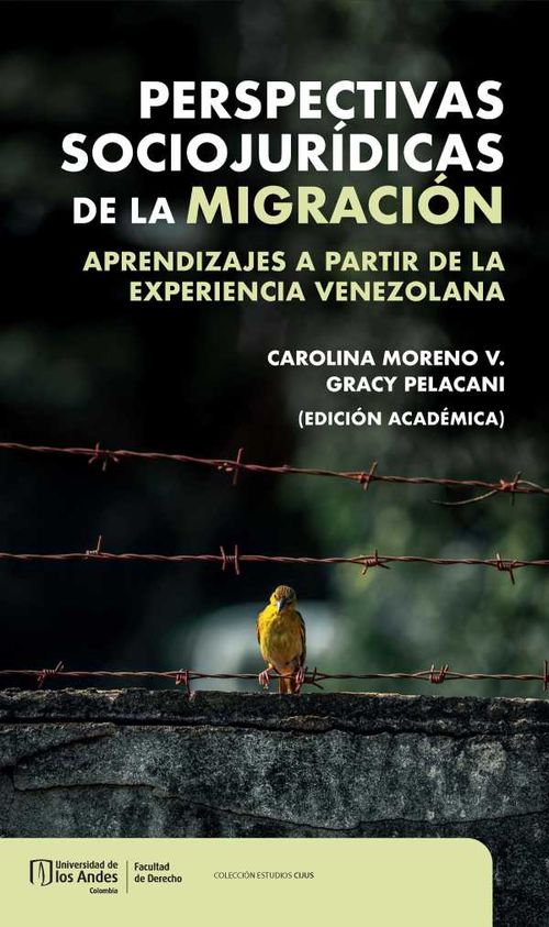 Perspectivas sociojurídicas de la migración