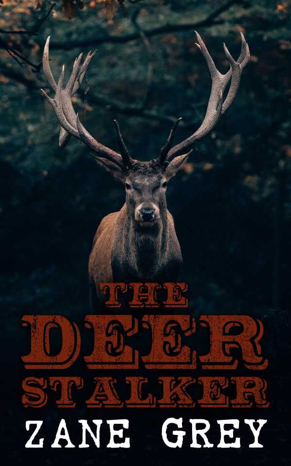 bw-the-deer-stalker-eartnow-4066338122872