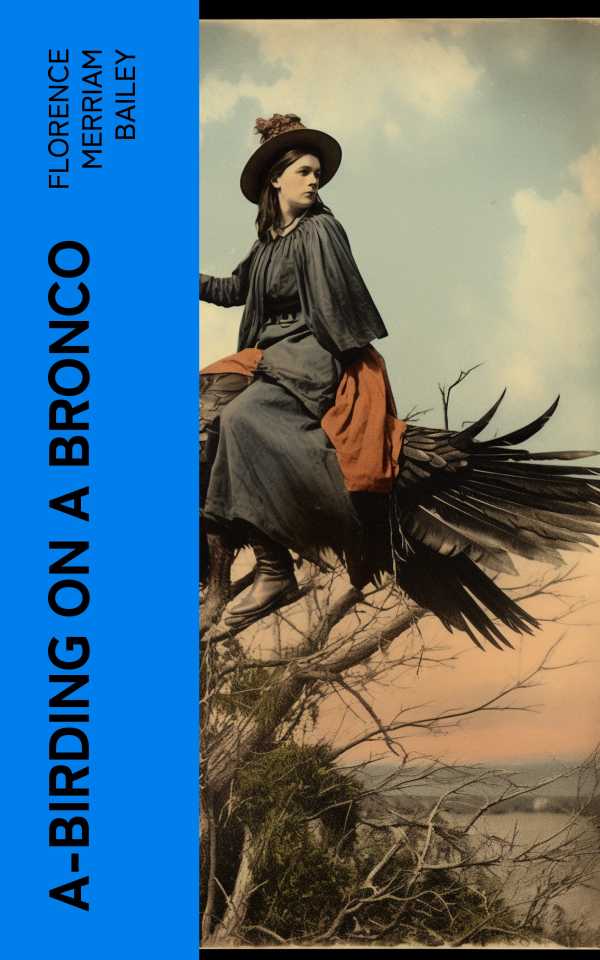 bw-abirding-on-a-bronco-eartnow-4066339562332