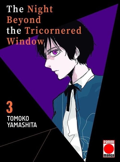 NIGHT BEYOND THE TRICORNERED WINDOW 03