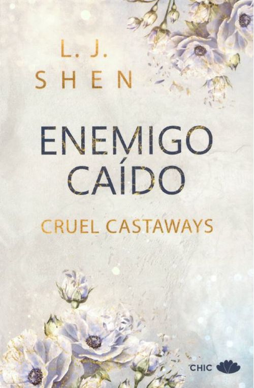 Enemigo caido