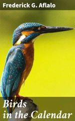 bw-birds-in-the-calendar-good-press-4064066223878