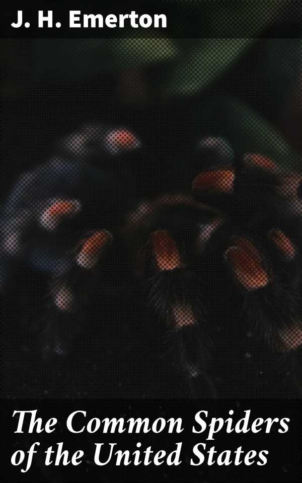 bw-the-common-spiders-of-the-united-states-good-press-4064066218614