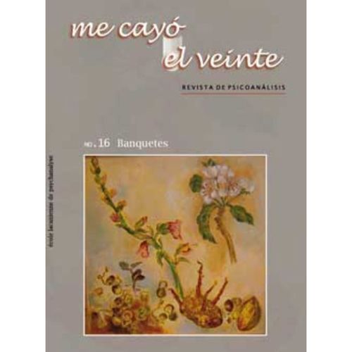 Me cayo el veinte Revista de psicoanalisis no 16