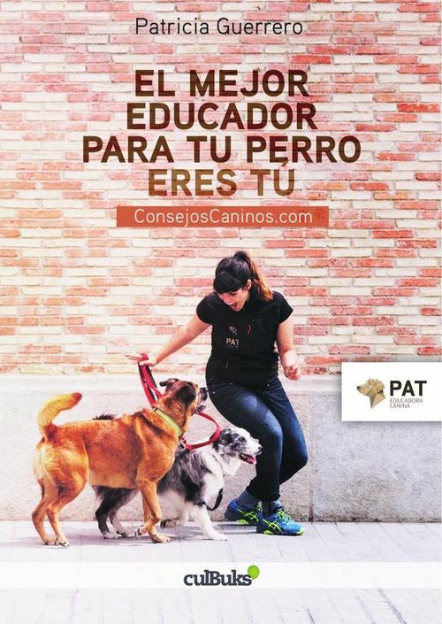 El mejor educador de tu perro eres tu