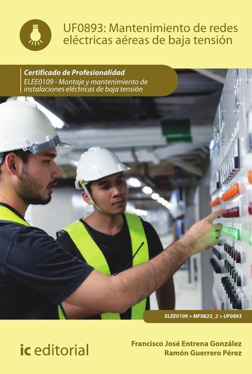 Mantenimiento de redes electricas aereas de baja tension ELEE0109 -  Montaje y mantenimiento de inst