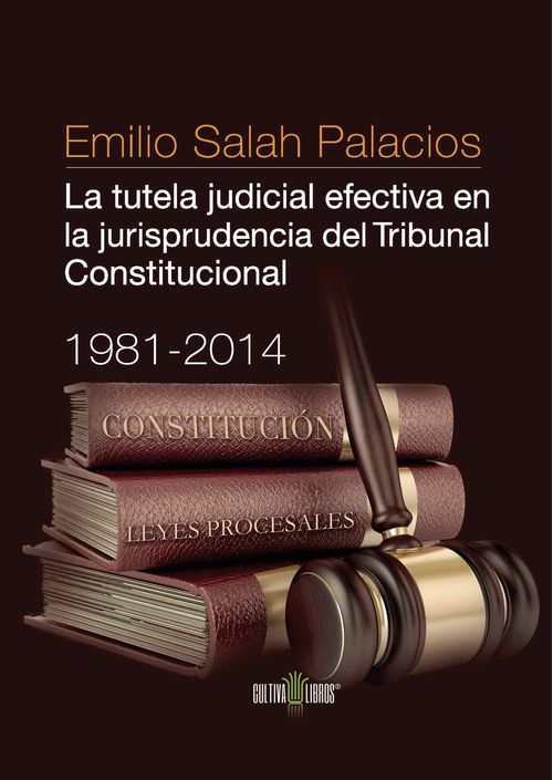 La tutela judicial efectiva en la jurisprudencia del Tribunal Constitucional 1981-2014