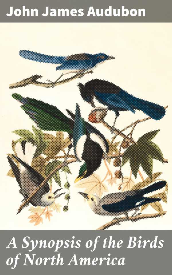 bw-a-synopsis-of-the-birds-of-north-america-good-press-4064066235451