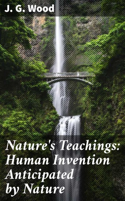 Natures Teachings Human Invention Anticipated by Nature