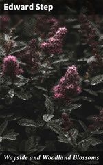 bw-wayside-and-woodland-blossoms-good-press-4064066246655