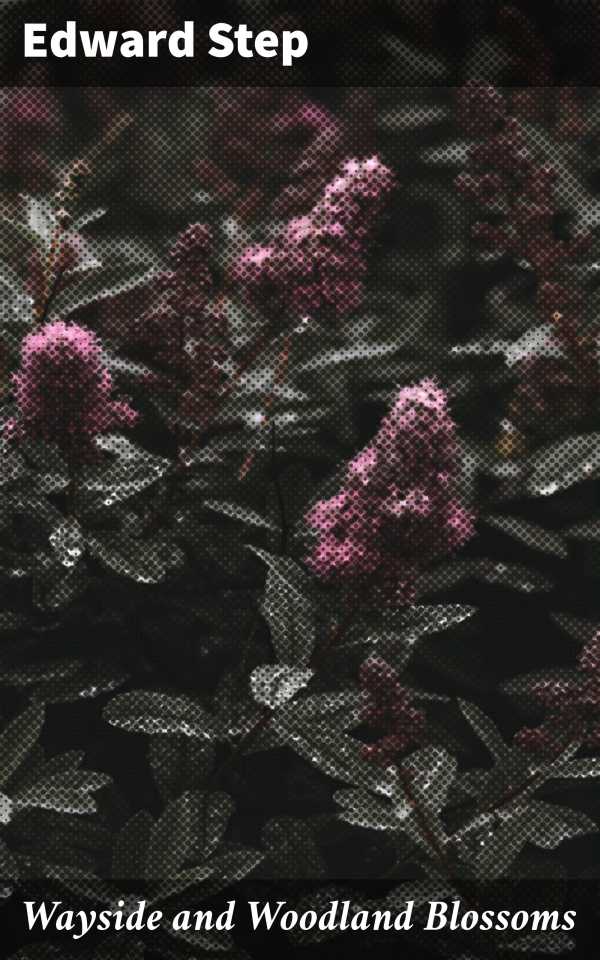 bw-wayside-and-woodland-blossoms-good-press-4064066246655