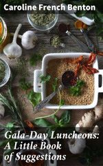 bw-galaday-luncheons-a-little-book-of-suggestions-good-press-4057664564641