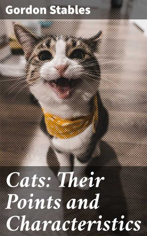 Cats Their Points and Characteristics