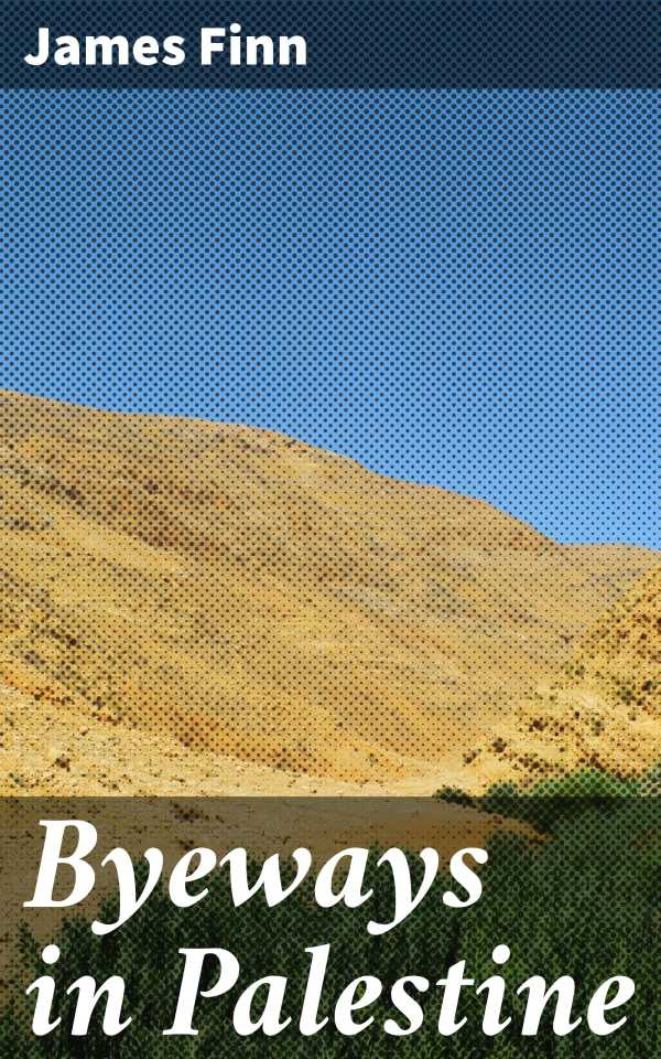 bw-byeways-in-palestine-good-press-4057664598738