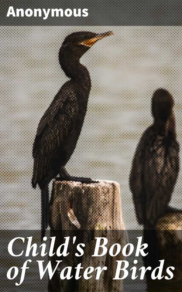 bw-childs-book-of-water-birds-good-press-4057664600523