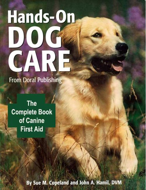 HandsOn Dog Care