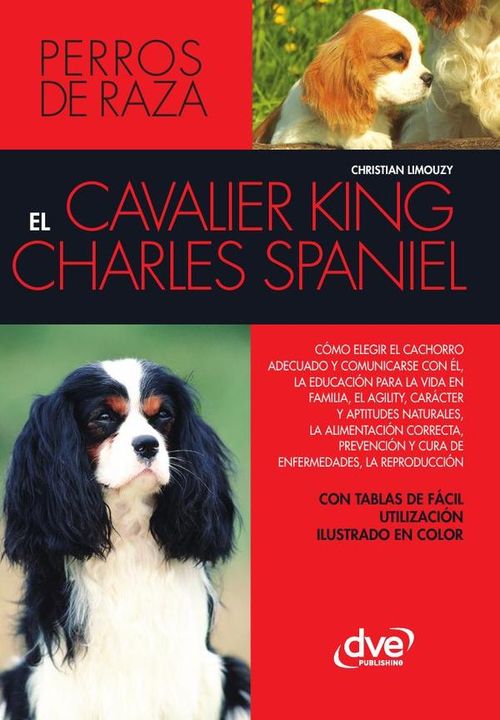 El cavalier king charles spaniel