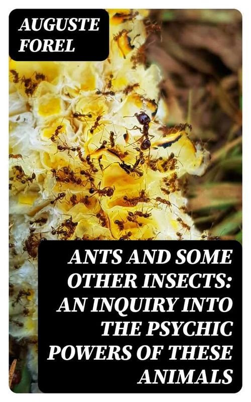 Ants and Some Other Insects An Inquiry Into the Psychic Powers of These Animals