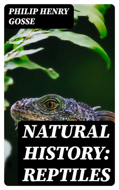 Natural History Reptiles