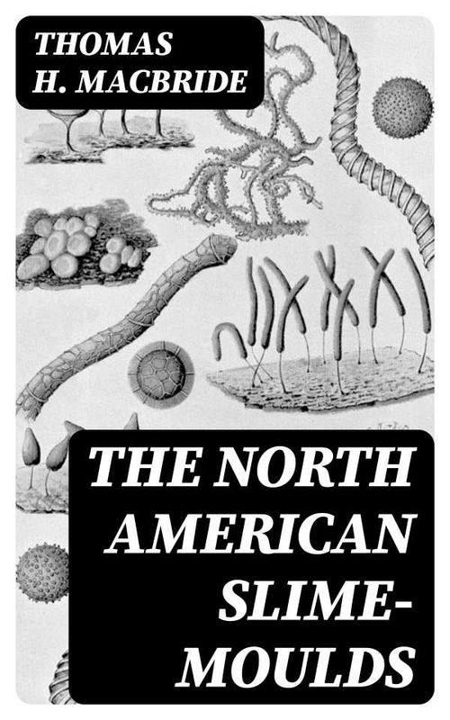 The North American SlimeMoulds