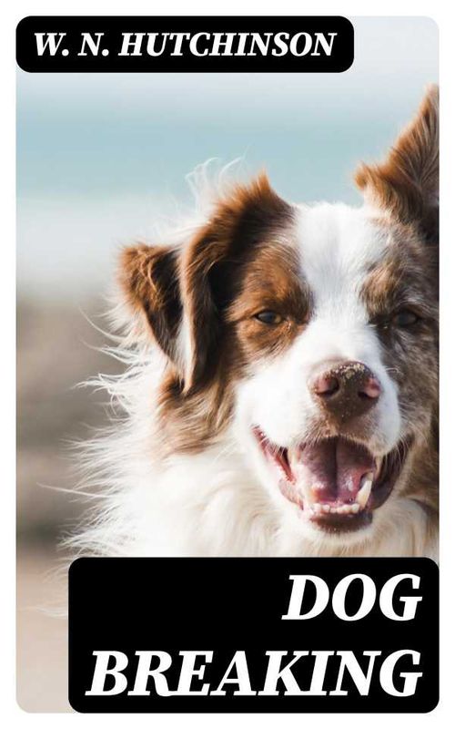 Dog Breaking