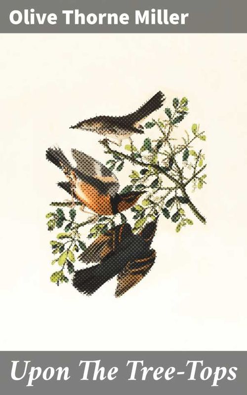 Upon The TreeTops