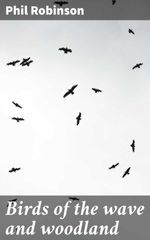 bw-birds-of-the-wave-and-woodland-good-press-4064066138554