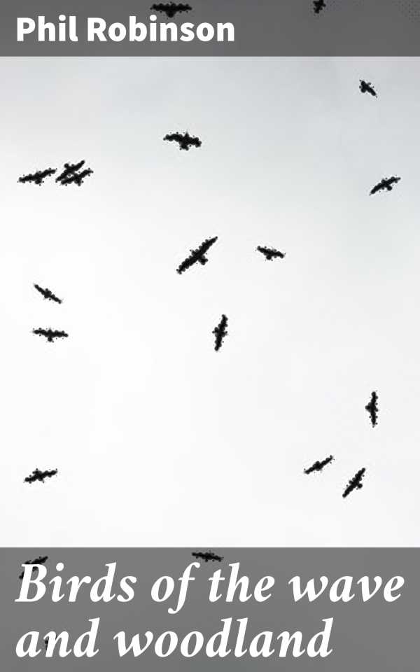 bw-birds-of-the-wave-and-woodland-good-press-4064066138554