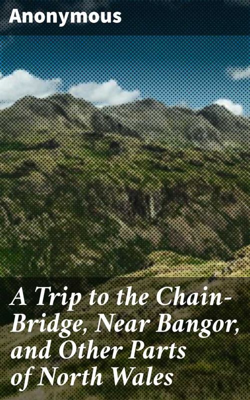 A Trip to the ChainBridge Near Bangor and Other Parts of North Wales