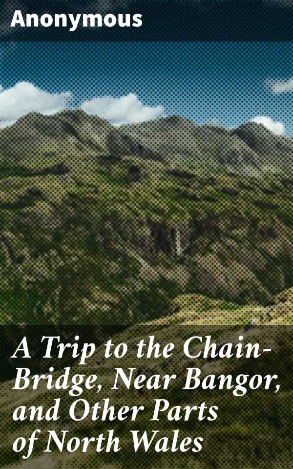 bw-a-trip-to-the-chainbridge-near-bangor-and-other-parts-of-north-wales-good-press-4064066150563