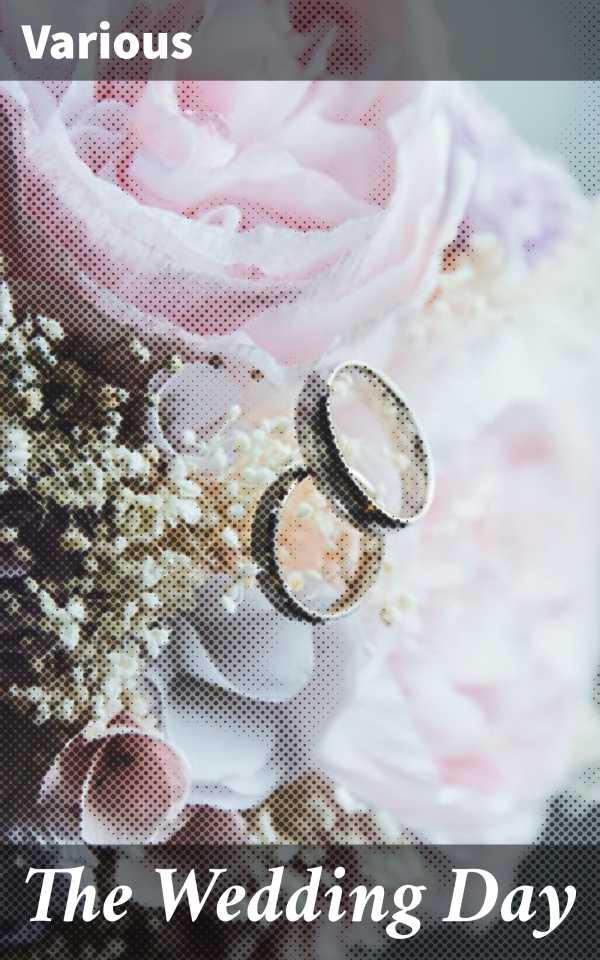 bw-the-wedding-day-good-press-4064066161927