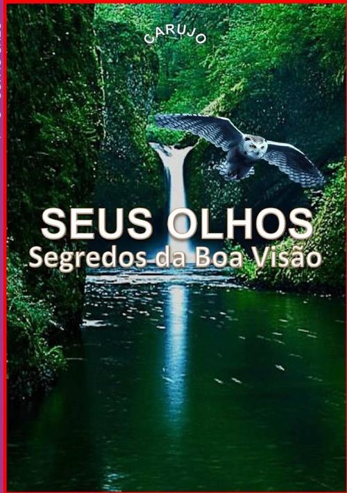 Seus Olhos
