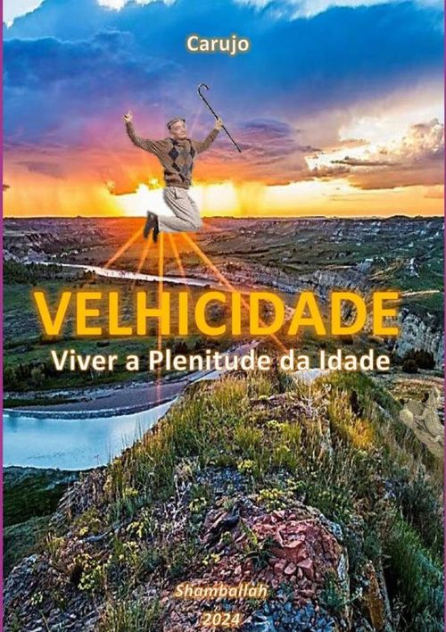 Velhicidade