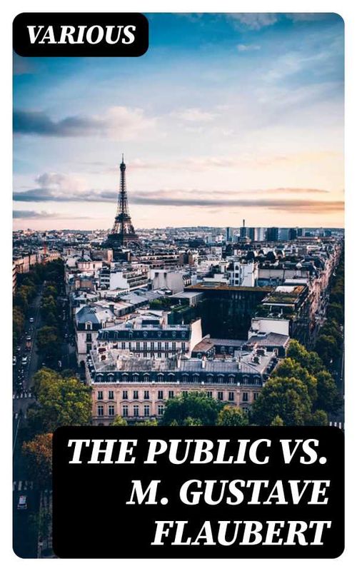 The Public vs M Gustave Flaubert