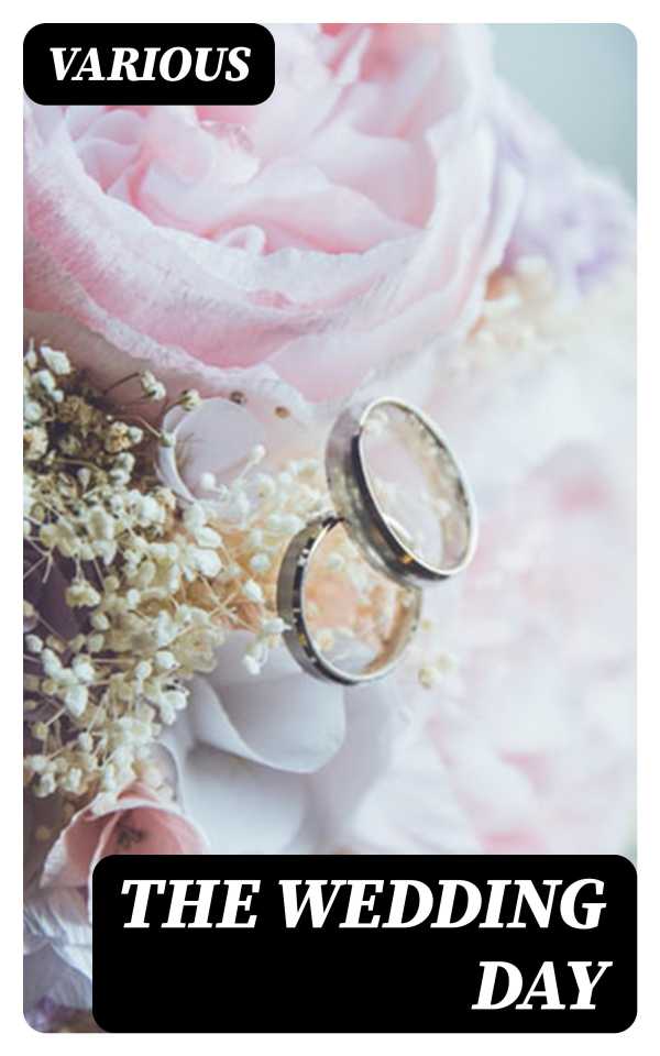bw-the-wedding-day-digicat-8596547323488