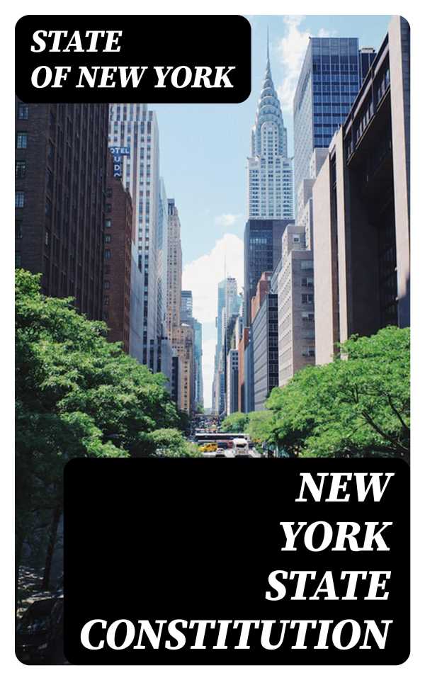 bw-new-york-state-constitution-digicat-8596547314066