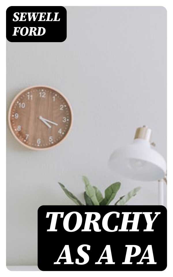 bw-torchy-as-a-pa-digicat-8596547353263