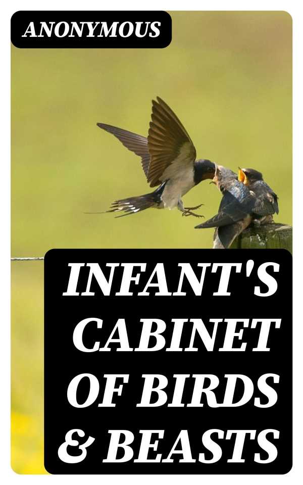 bw-infants-cabinet-of-birds-amp-beasts-digicat-8596547326304