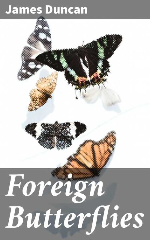 Foreign Butterflies