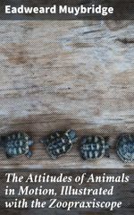 bw-the-attitudes-of-animals-in-motion-illustrated-with-the-zoopraxiscope-good-press-4064066188337