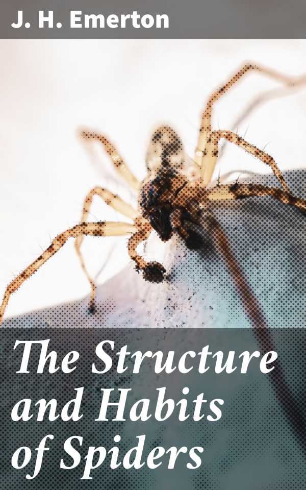 bw-the-structure-and-habits-of-spiders-good-press-4064066198862